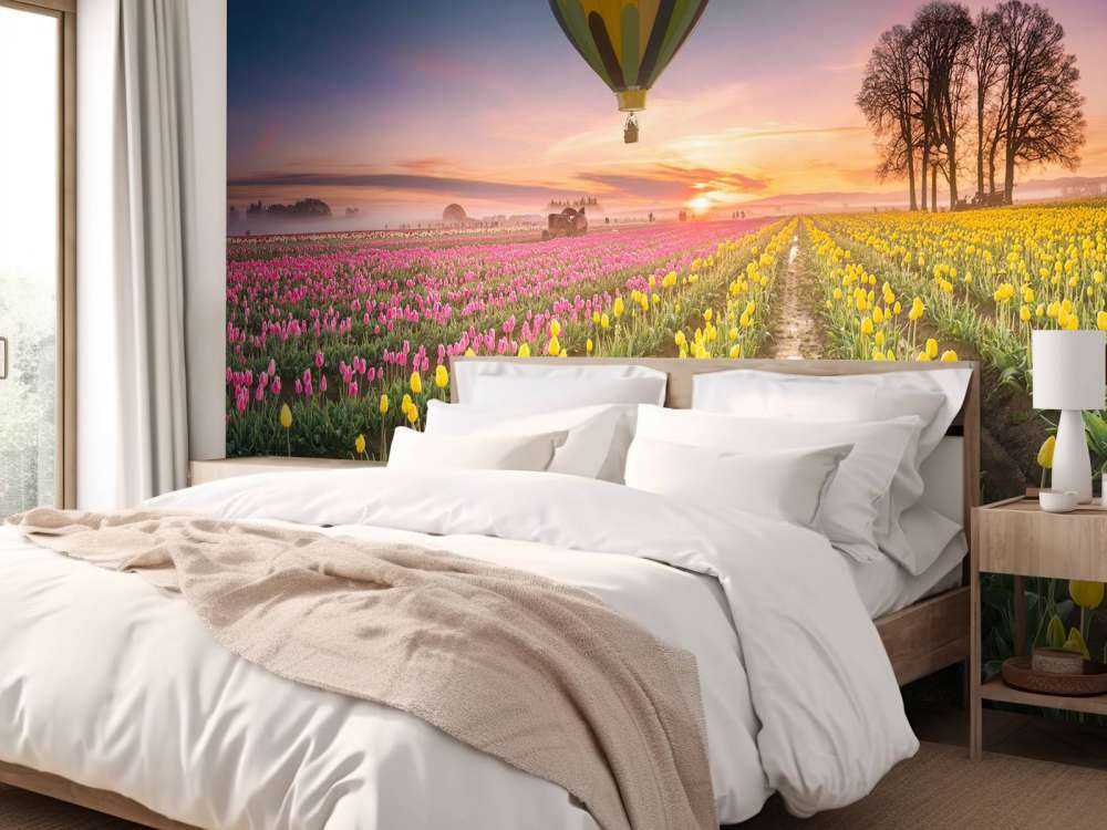 Pink yellow tulip field