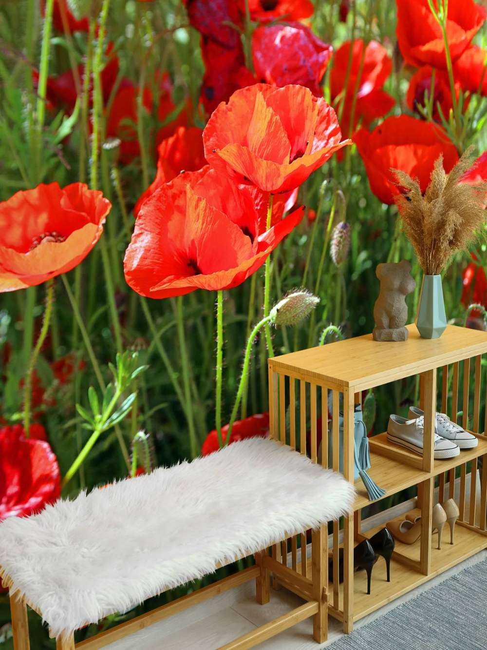 Close-up of poppies