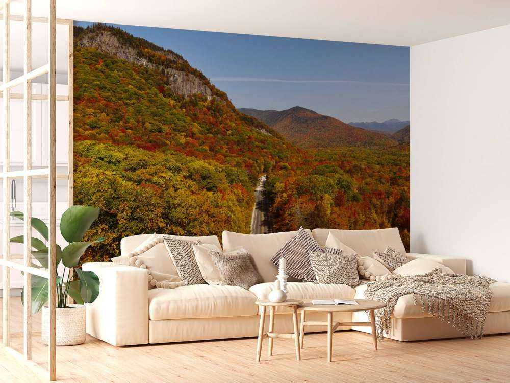 Road through the autumn landscape