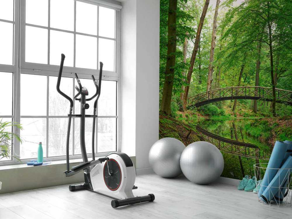 Arch bridge in the woods