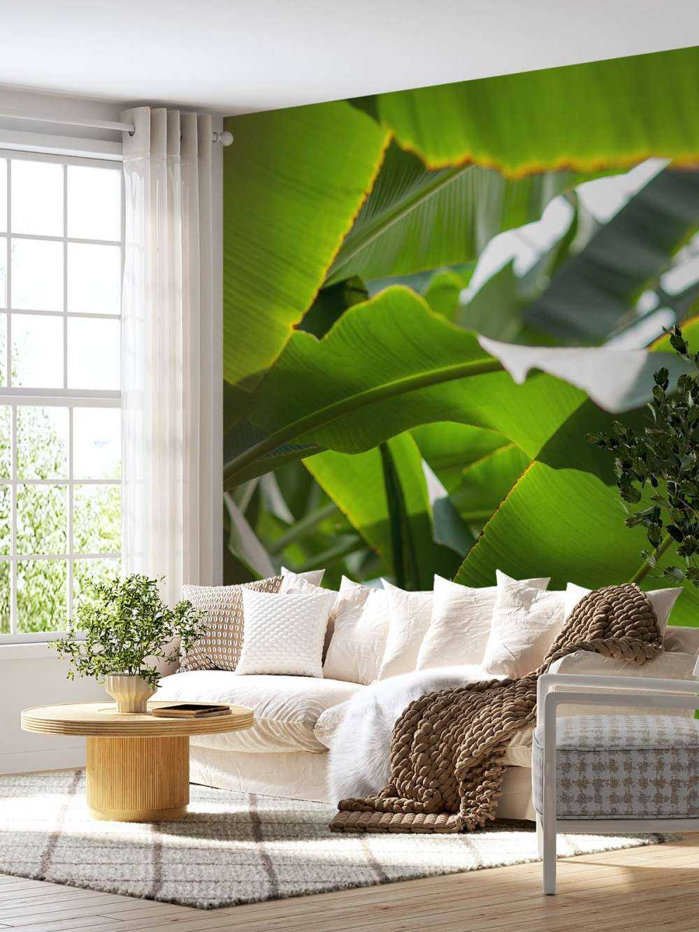 Palm leaves