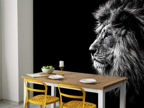 Lion with blue eyes