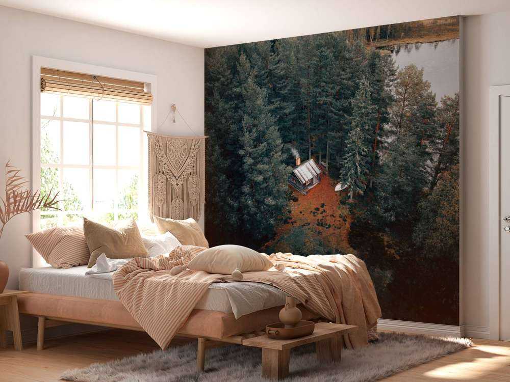 Cabin surrounded by forest and lakes