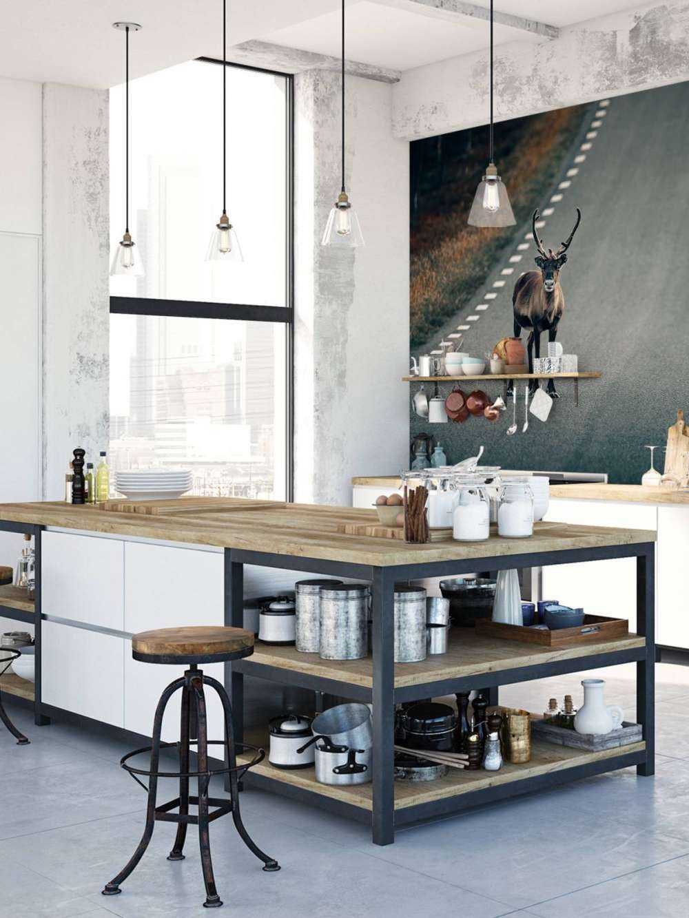 Reindeer on the road