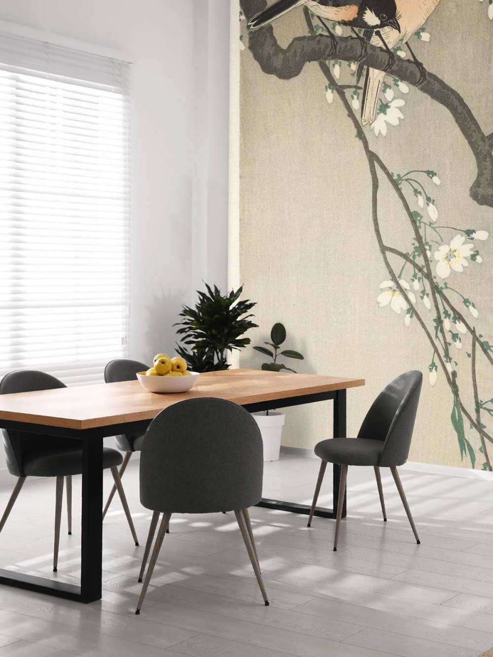 Great tits on blossom branch