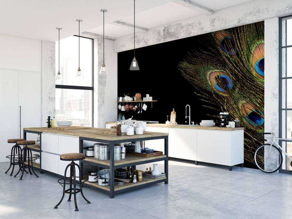 Colourful peacock feather