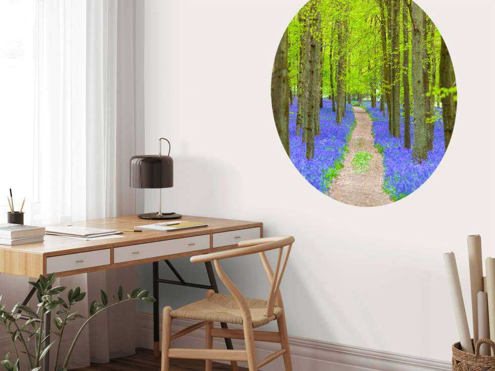 Bluebell path