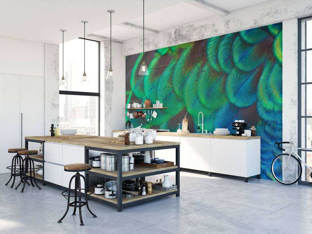 Close-up of peacock feathers