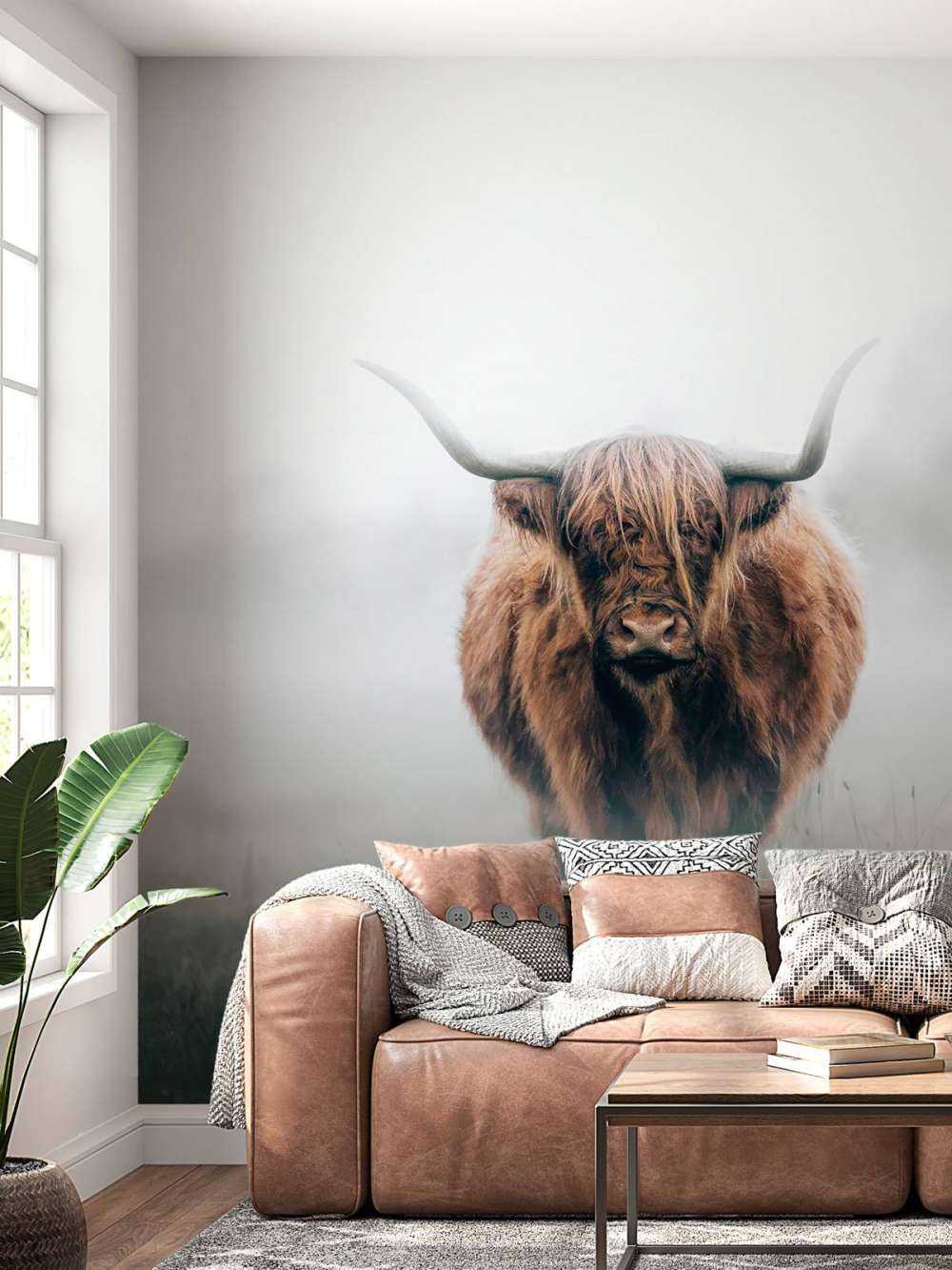 Scottish highlander in dense fog