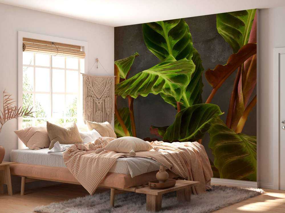 Plant with beautiful green leaves