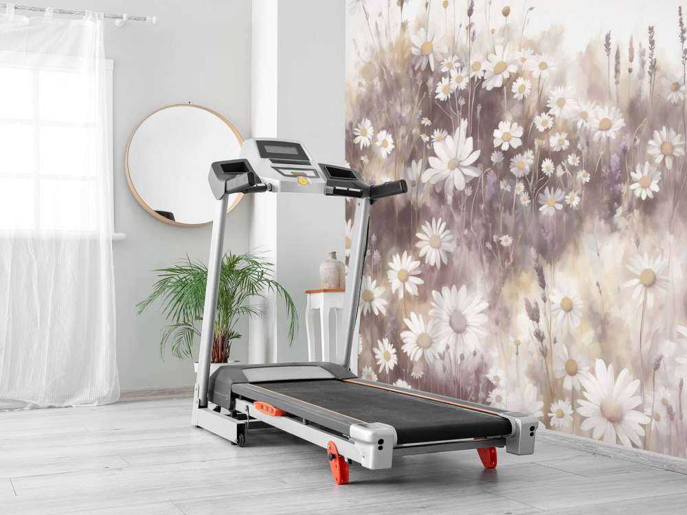 Quiet Daisies Meadow Pink