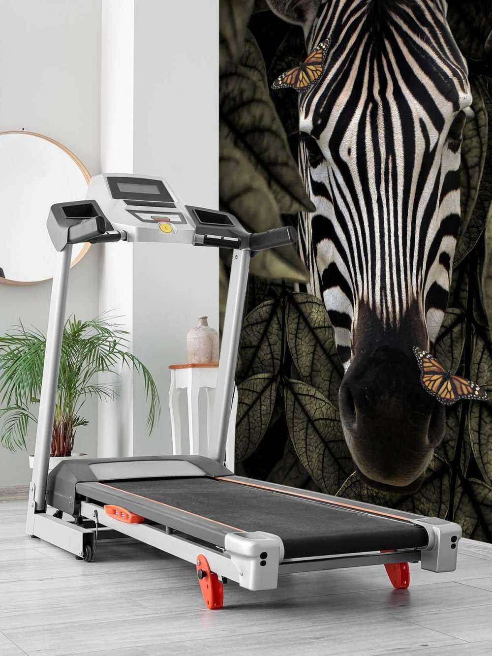 Jungle Zebra Portrait