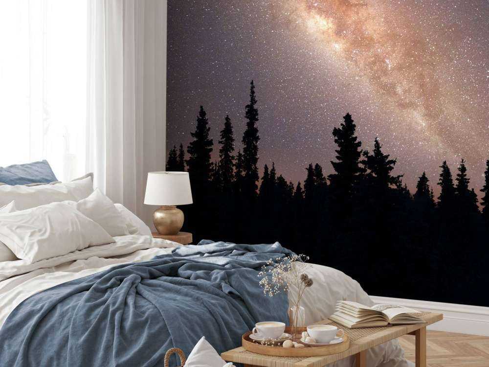 Milky way above silhouette of trees