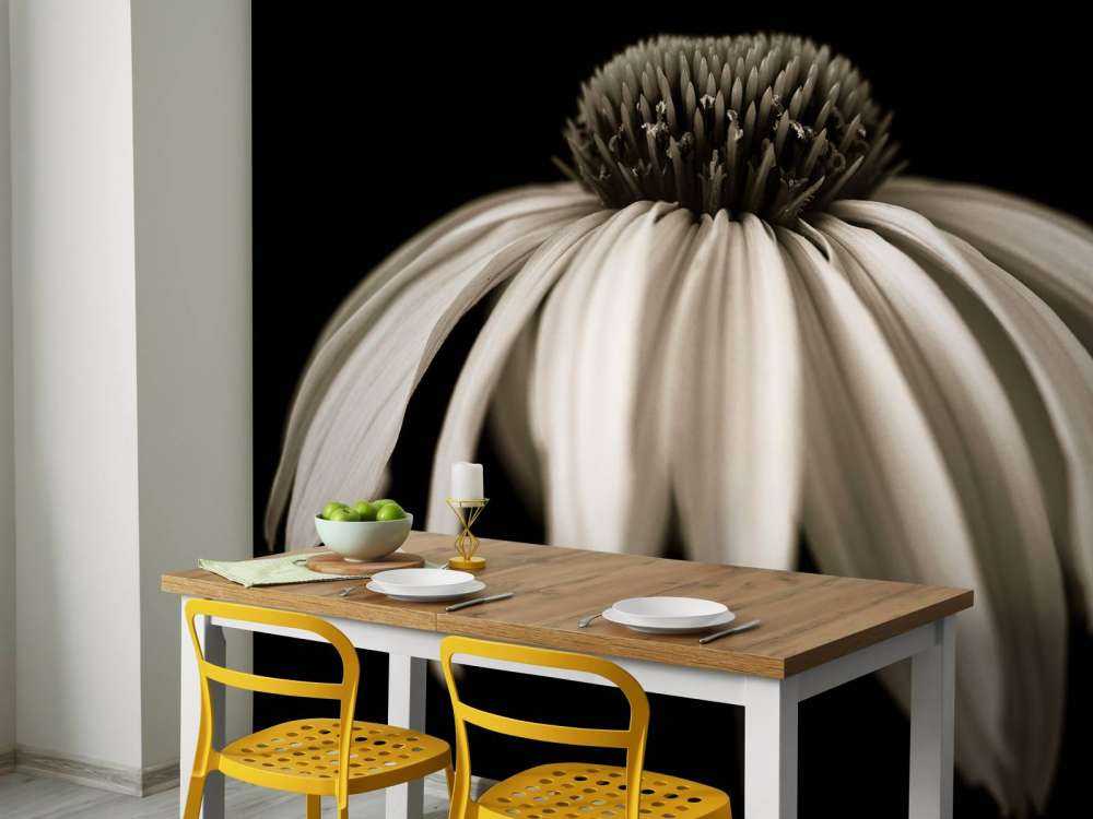 Cone flower close-up