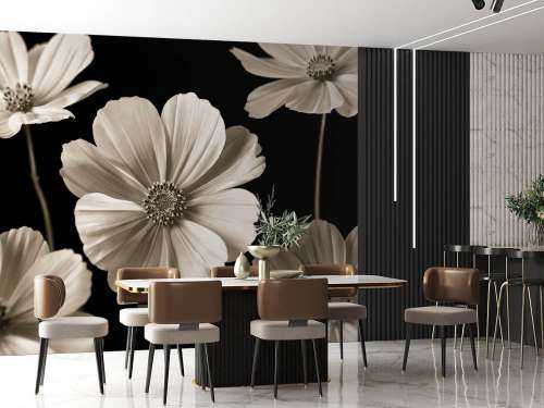 Multiple Cosmos flower