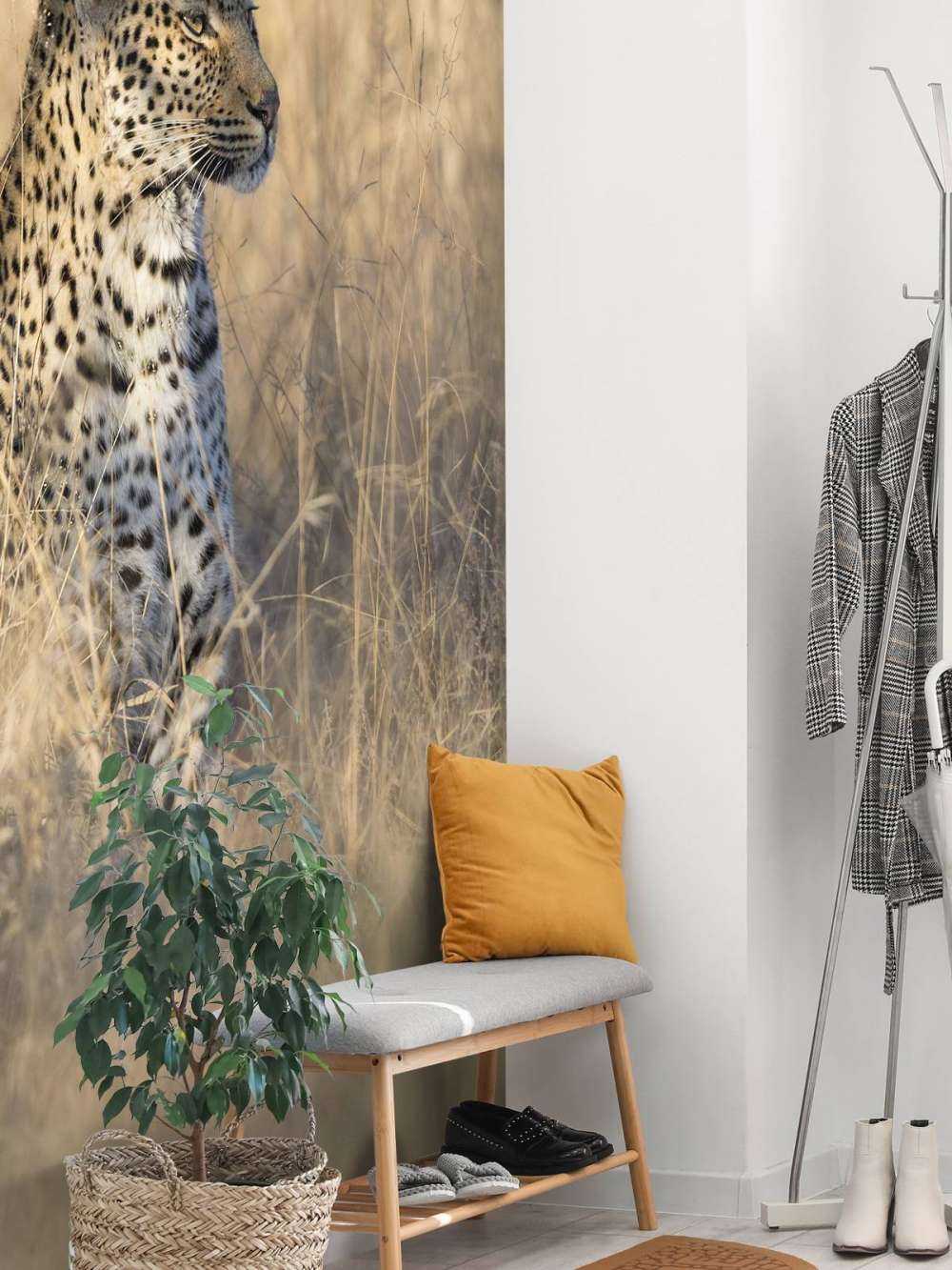 Hunting leopard