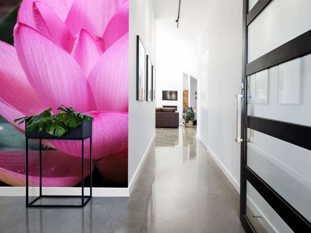 Close-up pink lotus