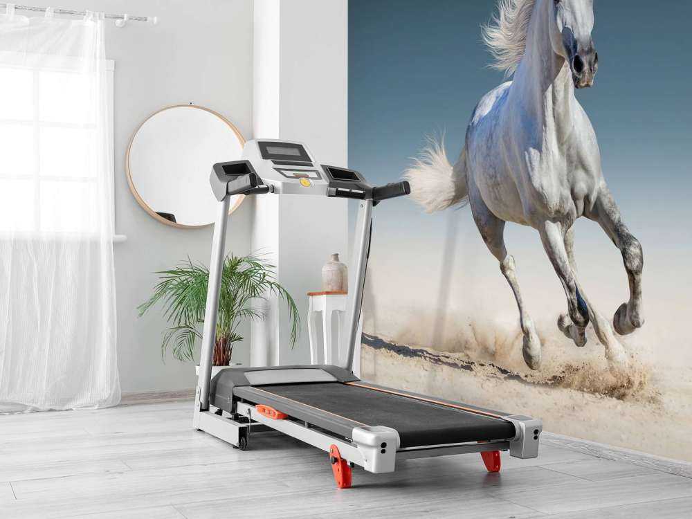 Galloping horse