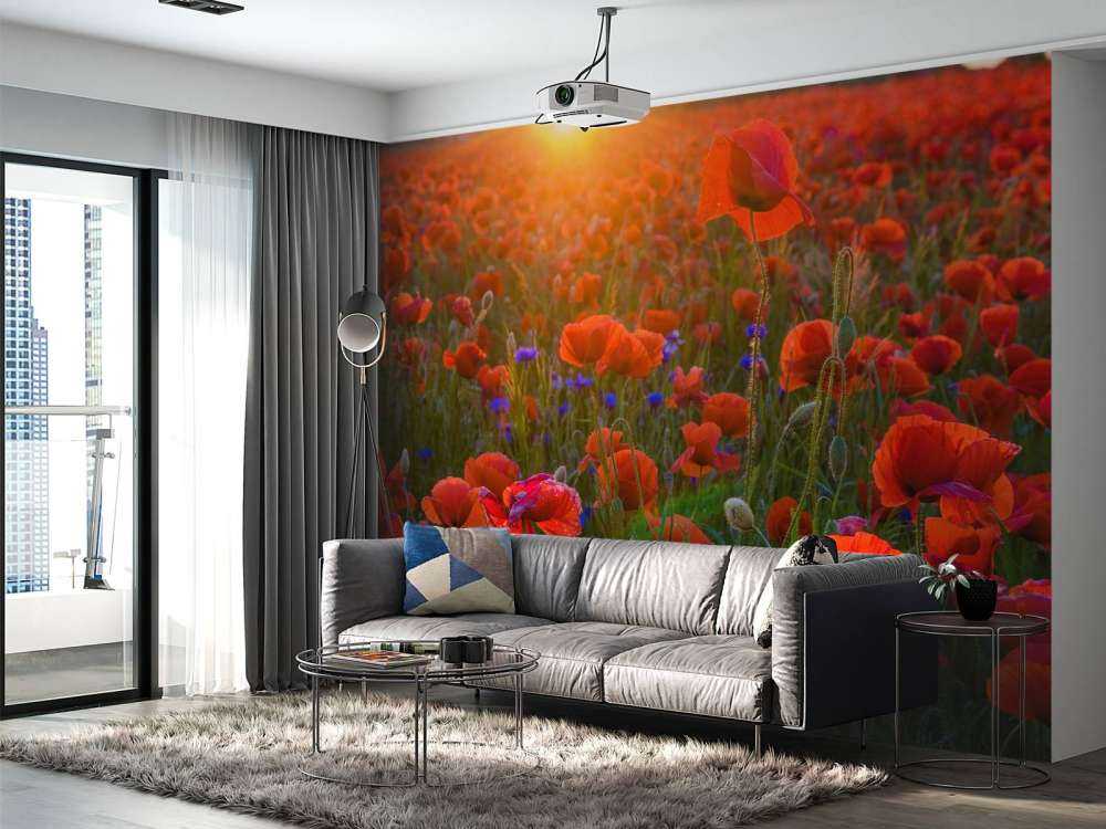 Poppies with rising sun