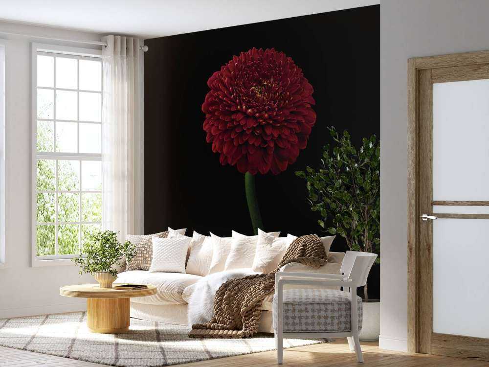Red flower on stem