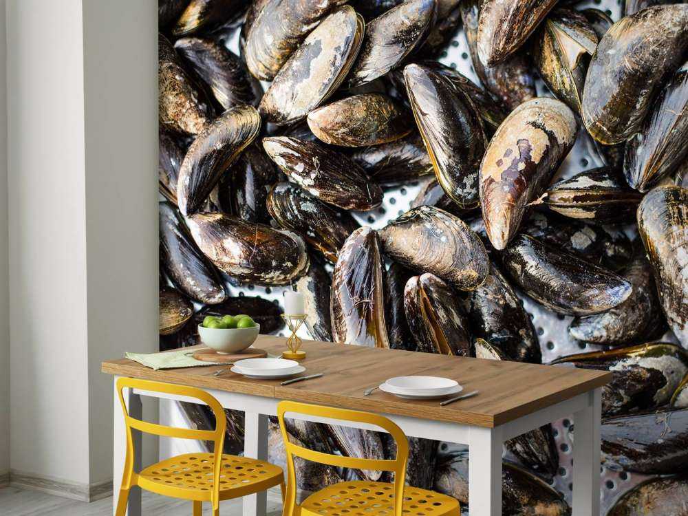Mussels