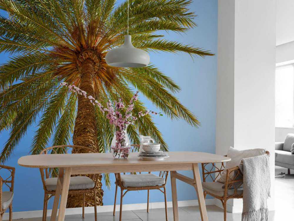 Gedetailleerde Palmboom