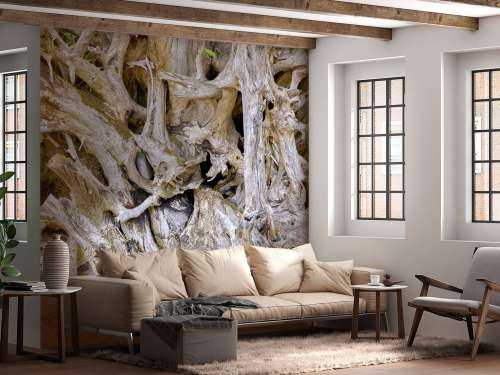 Tree roots 