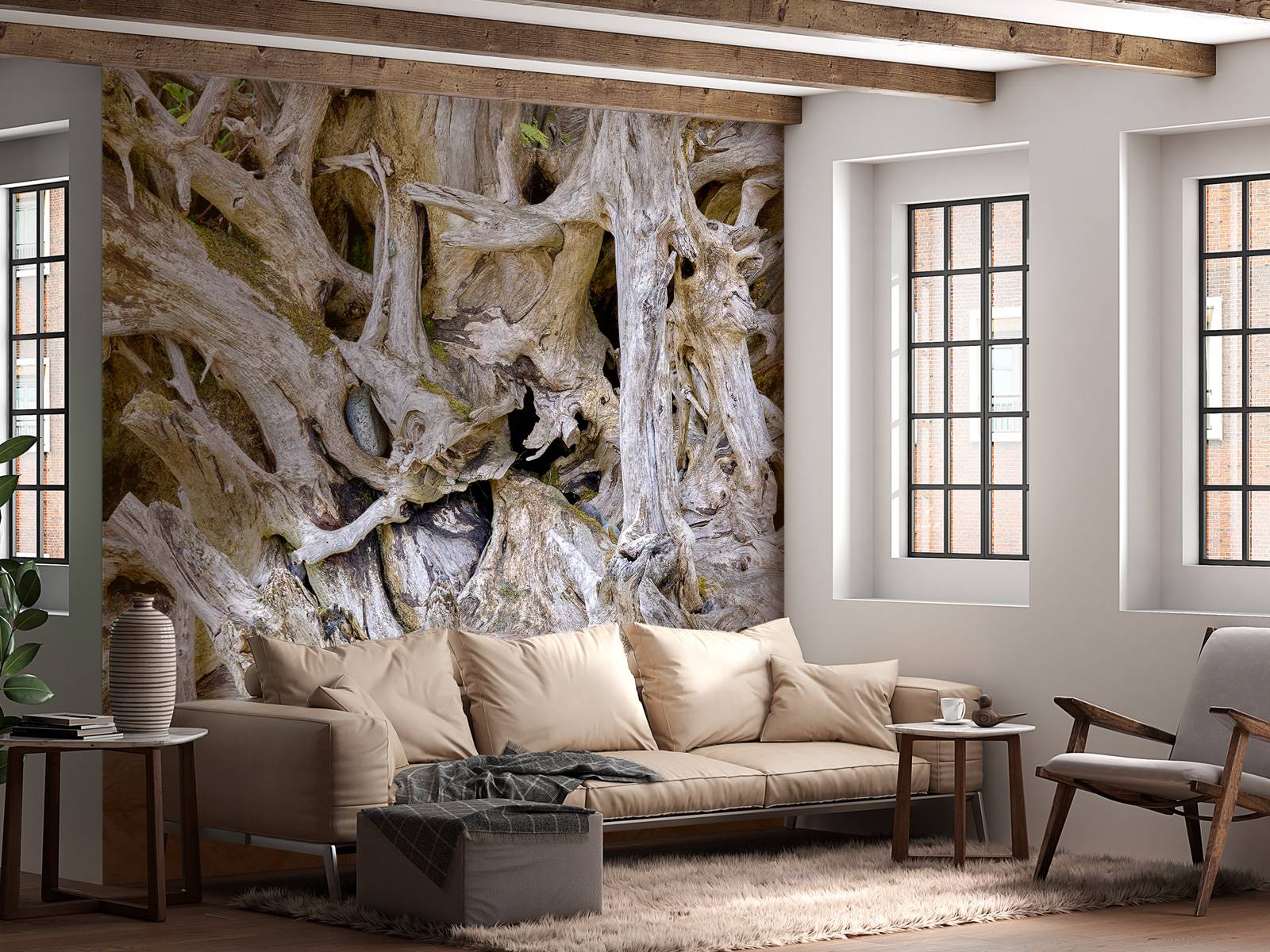 Tree roots 