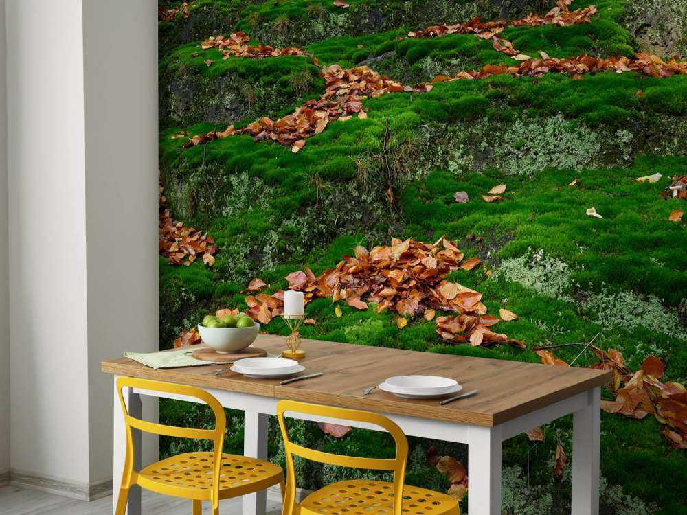 Mos met hefstbladeren