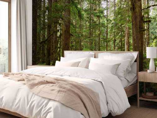 Wild forest
