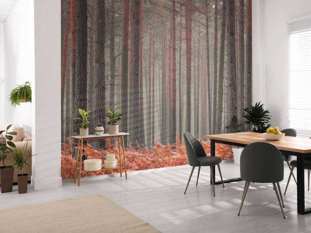 Trees in autumn