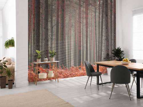 Trees in autumn