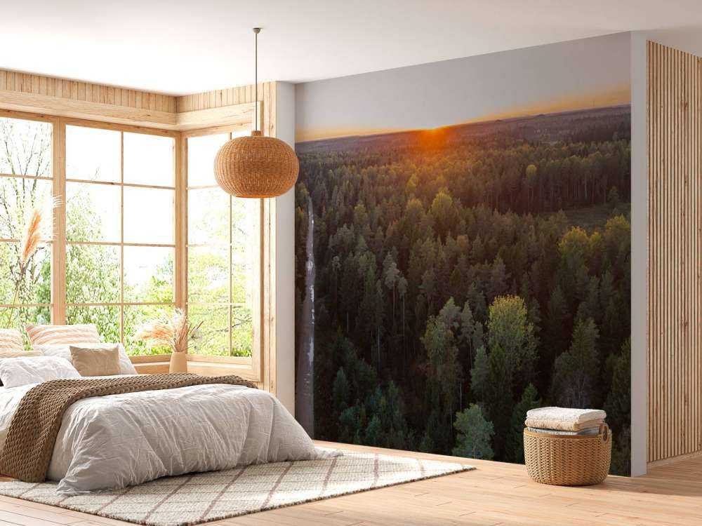 Aerial view of autumn trees