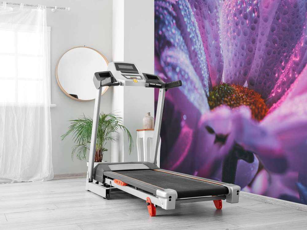 Chrysant bloem met dynamische kleuren