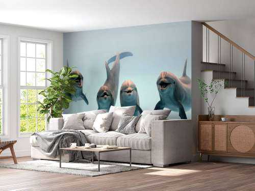 Laughing dolphins