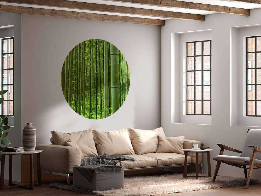 In the middle of the bamboo forest