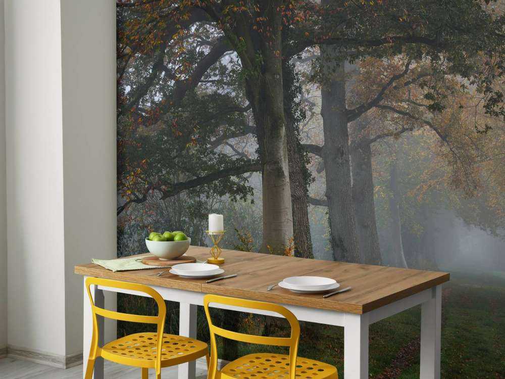 Lane with trees in fog