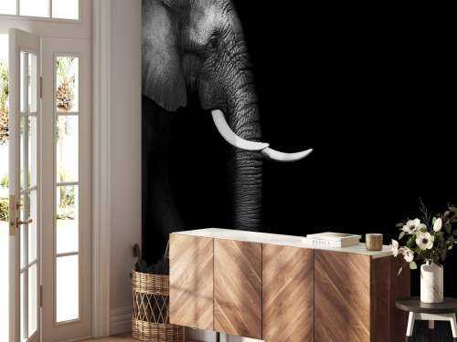 Elephant on grass