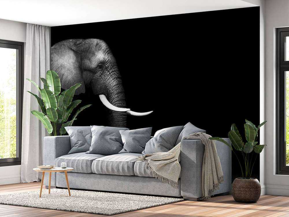 Elephant on grass