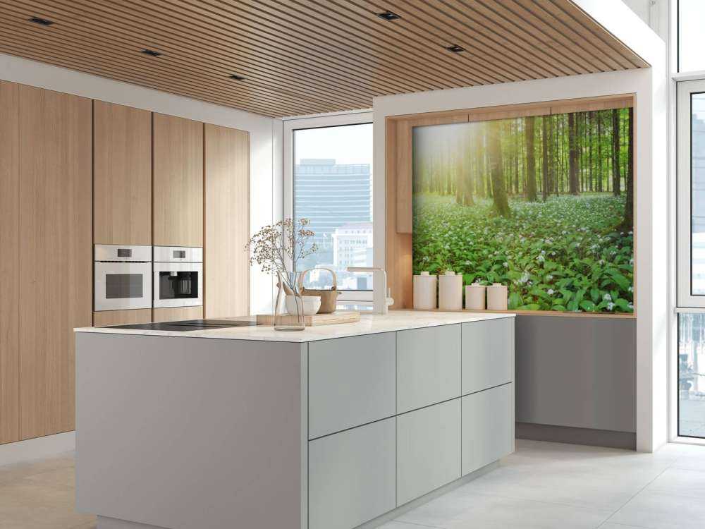 Wild forest at sunrise