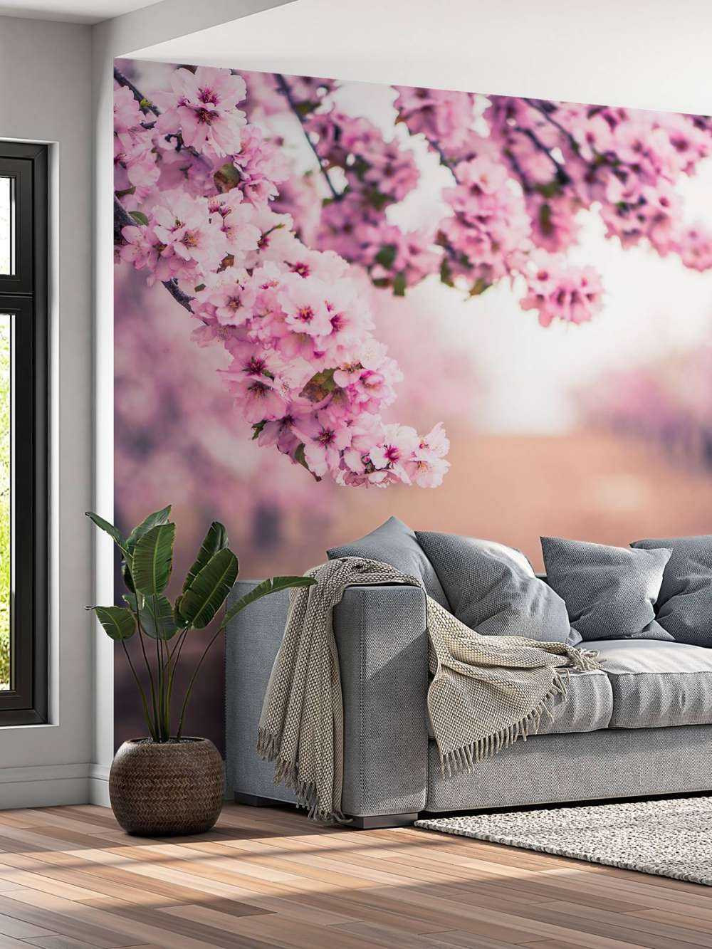 Purple Japanese blossoms