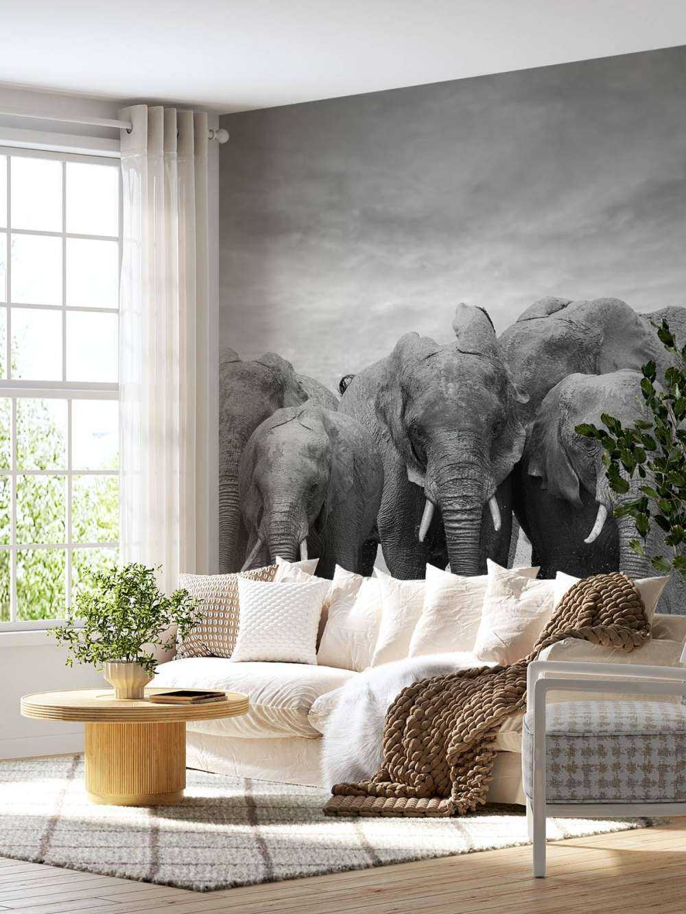 Herd of elephants