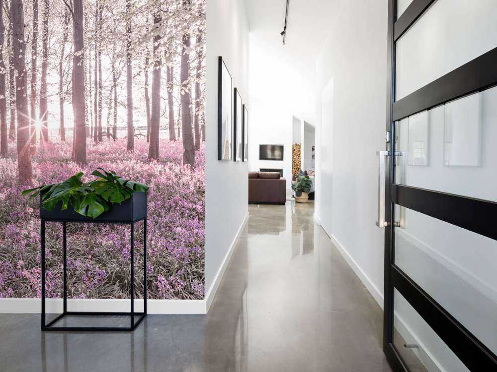 Forest in spring