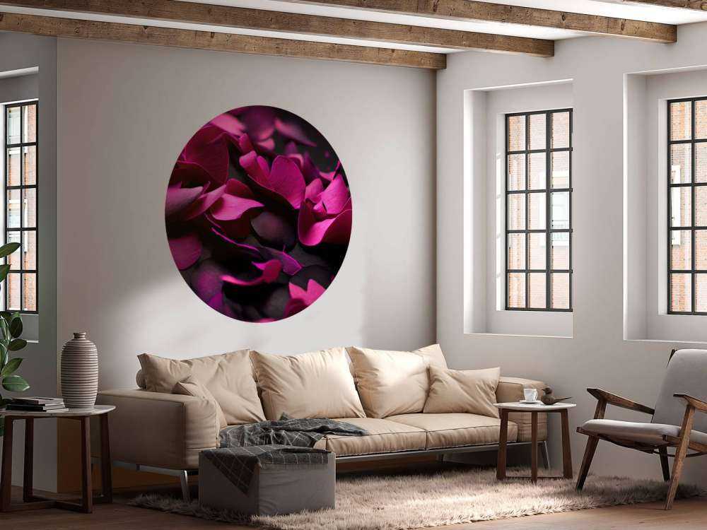 Dark pink hydrangeas