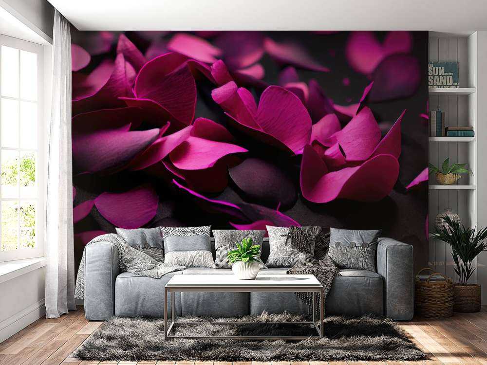 Dark pink hydrangeas