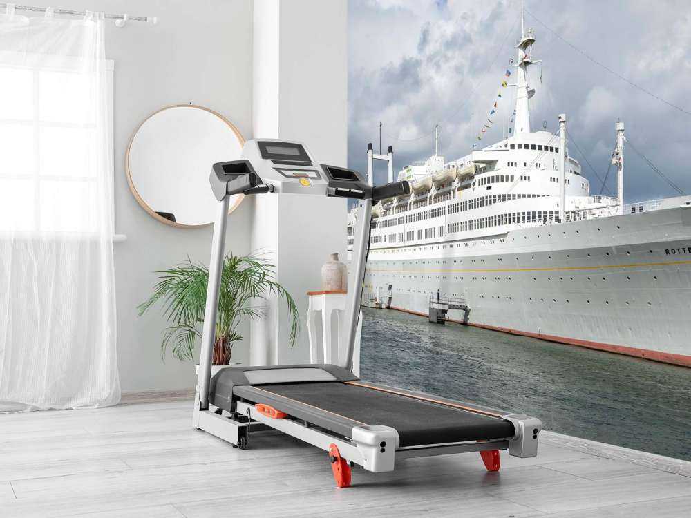 Stylish ocean giant in the harbor