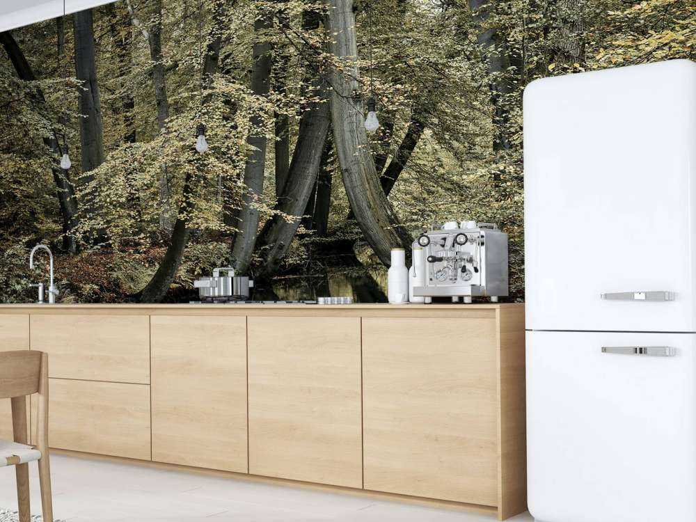 Stream with hanging trees