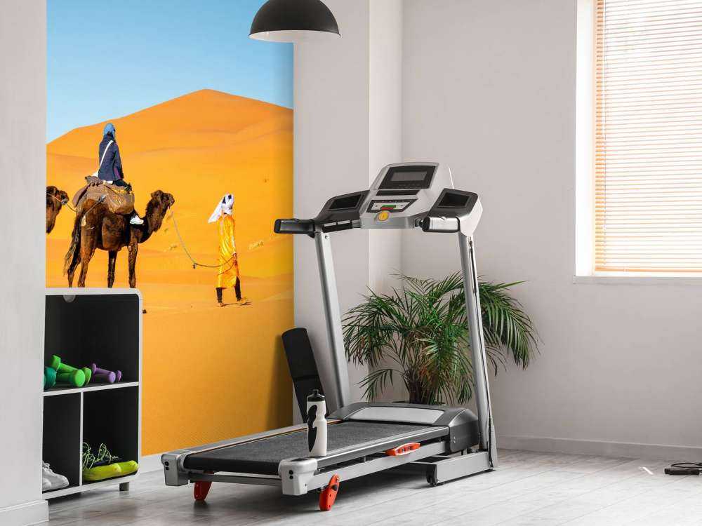 Camel ride through the desert