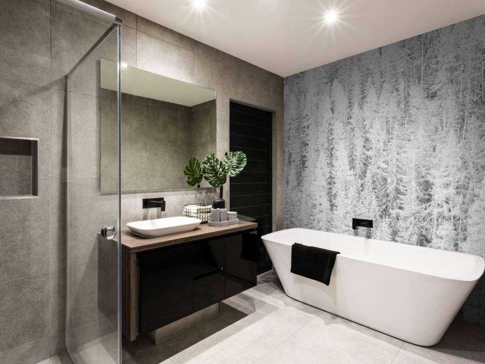 Conifers in black and white