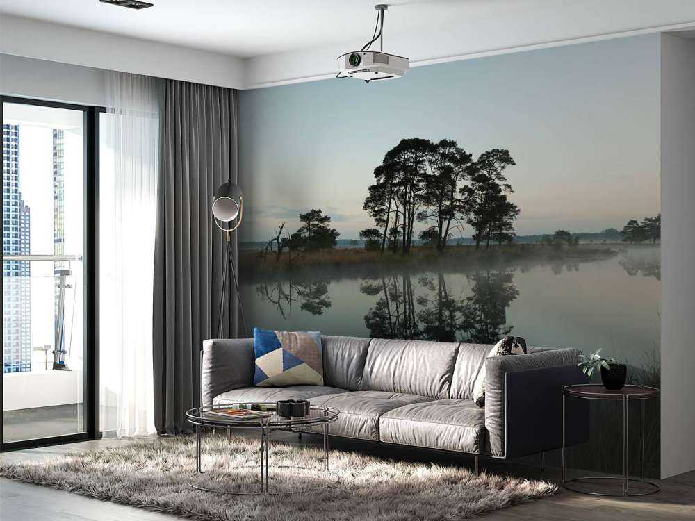 Trees along woodlands